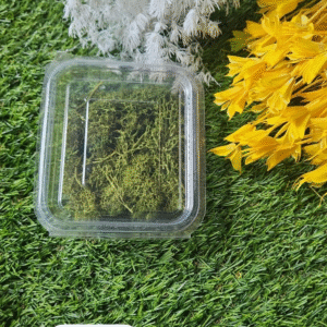 Green Moss Olive Green MIN qty 12pcs..EO.